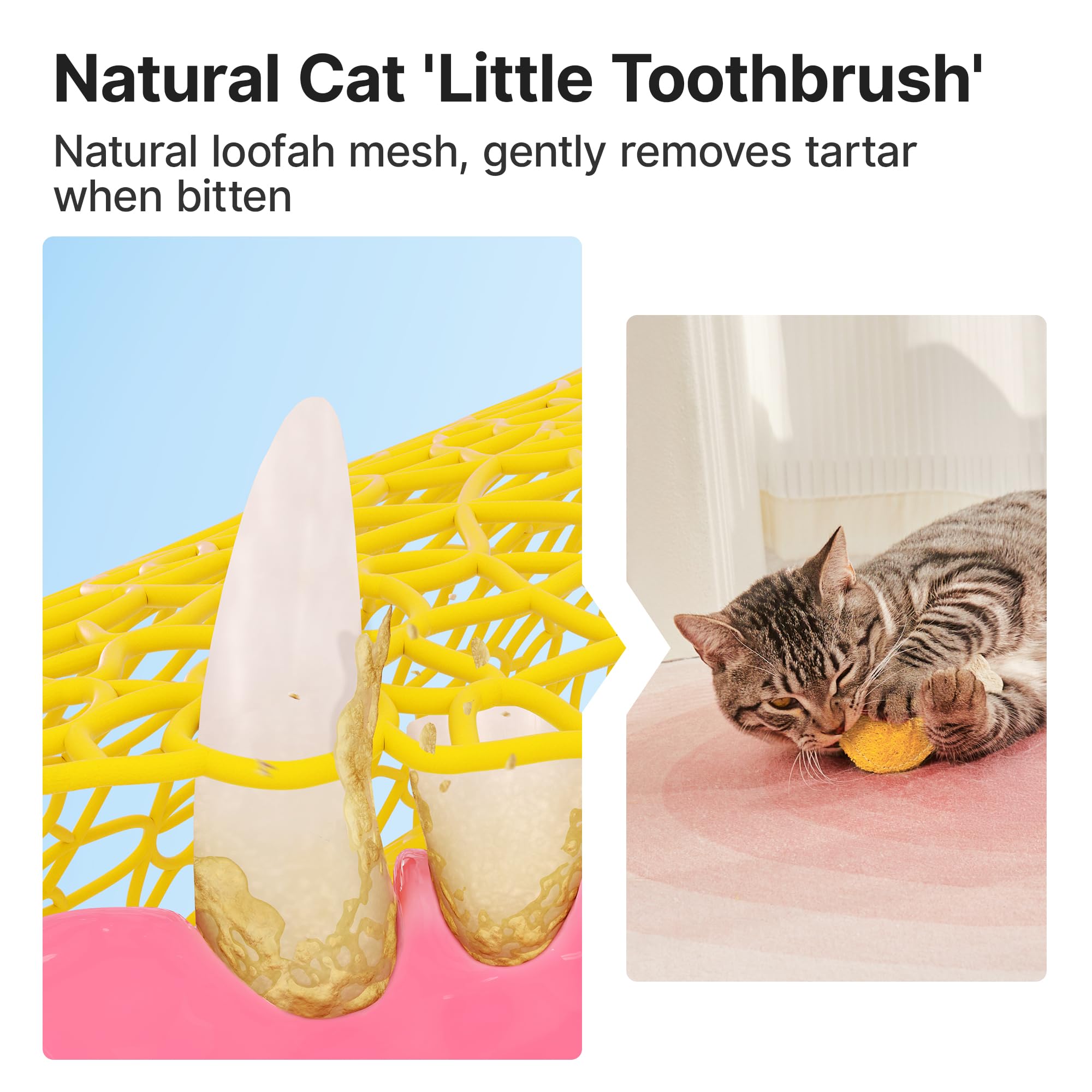 Potaroma loofah cat chew toy egg shape boosts teething relief.