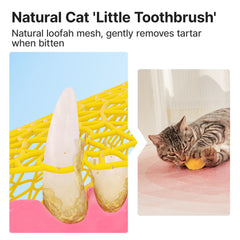 Potaroma loofah cat chew toy egg shape boosts teething relief.