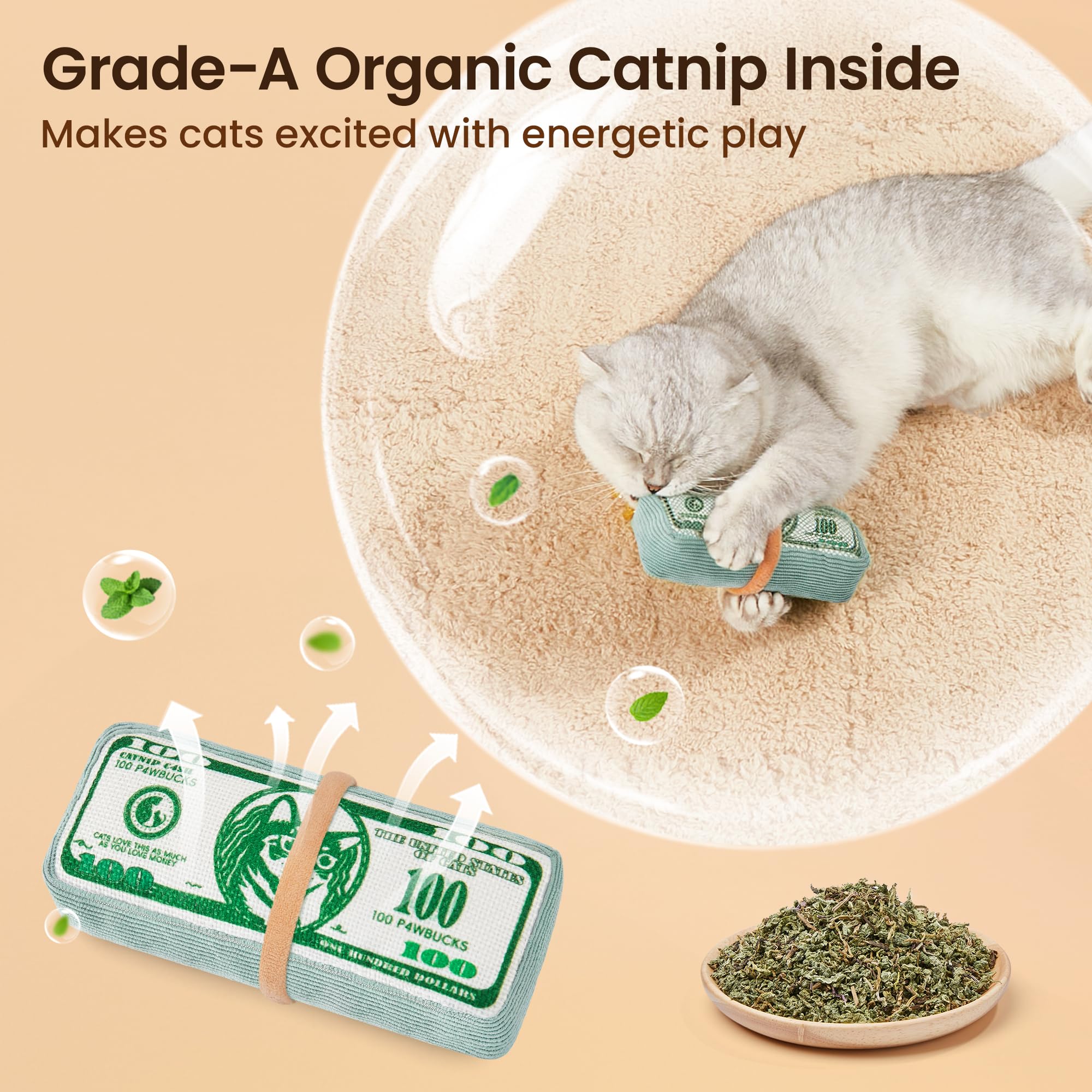 Potaroma money-stack design cat toy with playful visual appeal