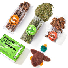 Potaroma plush-shell-toy offers a cozy surface for kittens during play.