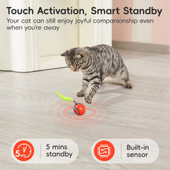Potaroma USB-rechargeable design keeps the rolling ball ready for daily fun.