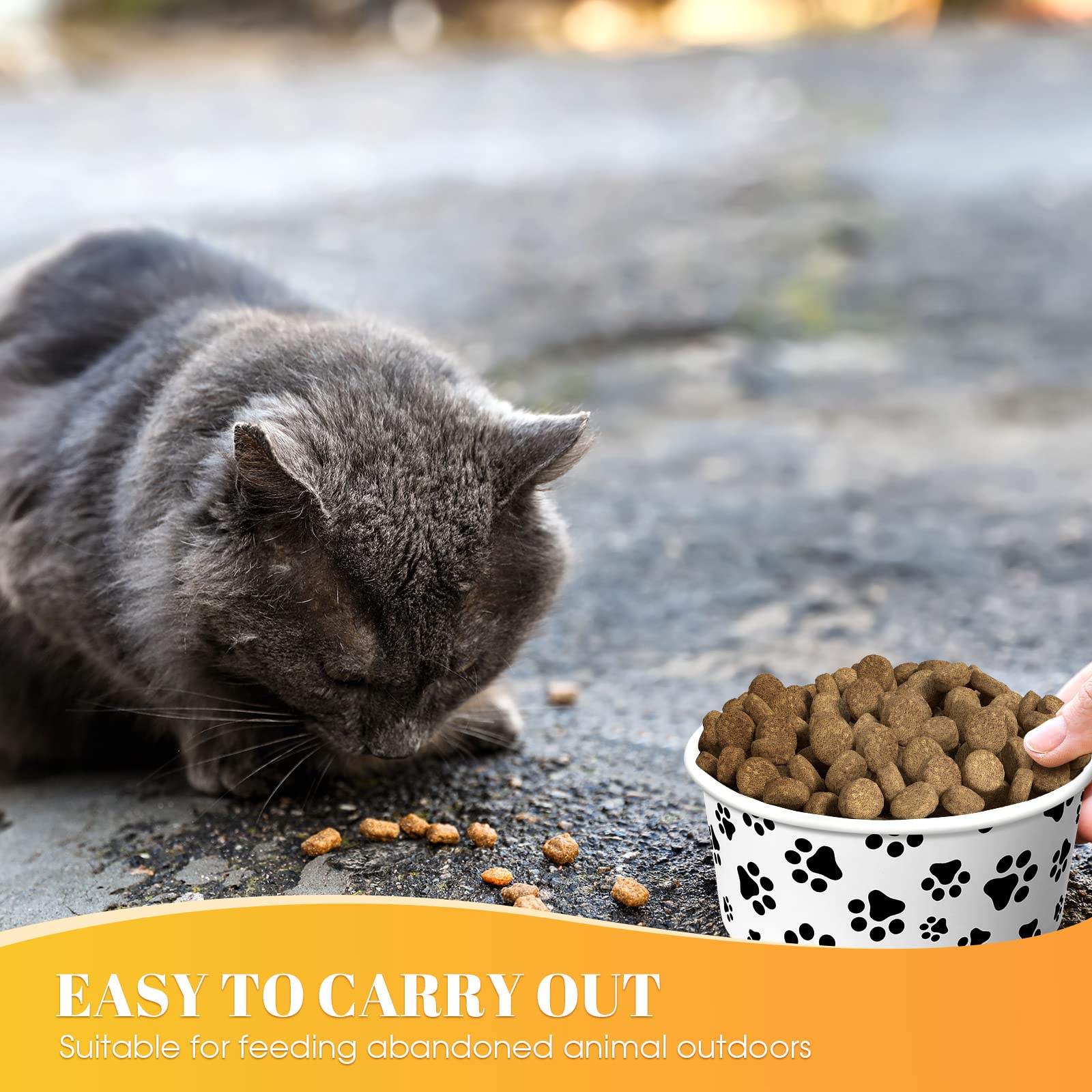 Potchen bowls with a cute pattern to attract your pet's attention.