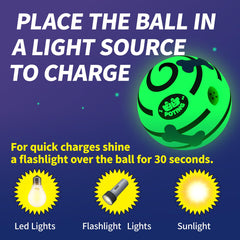 POTING Giggle Ball 3.14-inch size suitable for small dogs