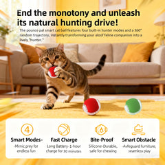 Pounce Pal blue-fast-mode lights drive rapid chase sessions for your cat