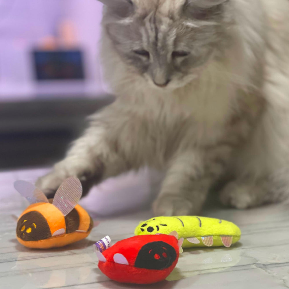 Pounce & Purr iridescent accents add sparkle during play.