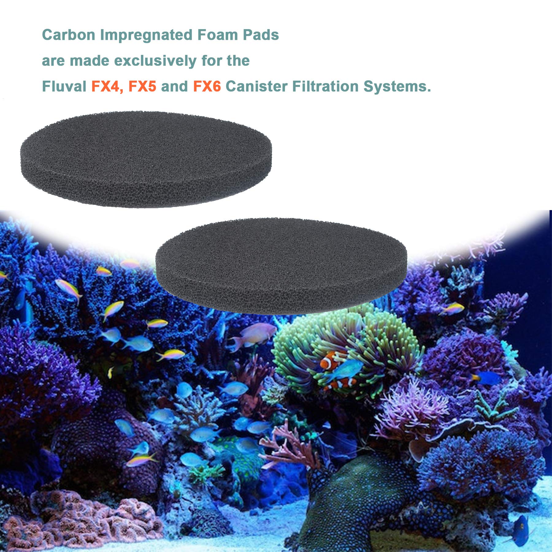 Poweka Fx4 fitment demonstrates simple upgrade with Fluval FX4 canister.