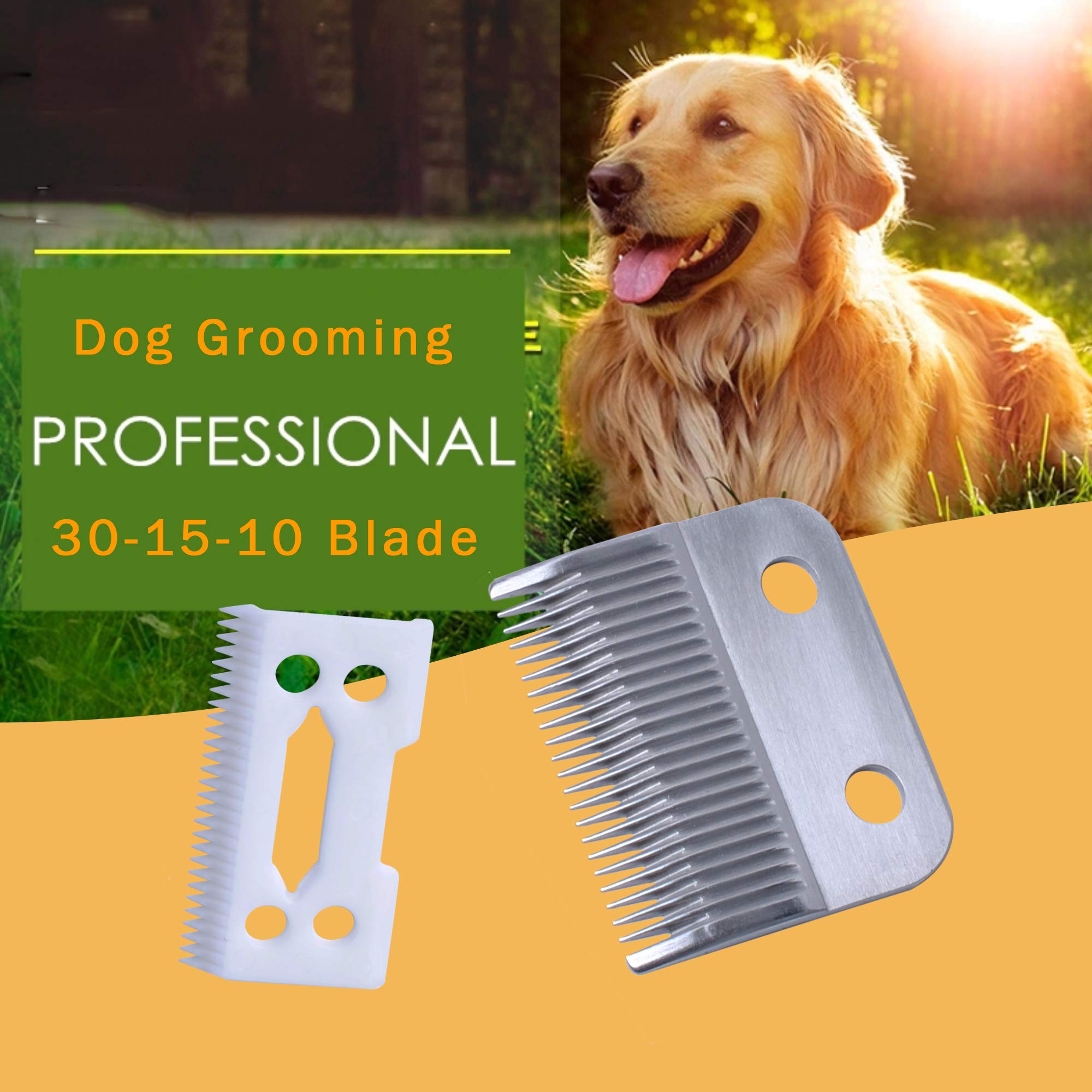 Poweka professional grooming scene – efficient clipping in a salon-style setup.