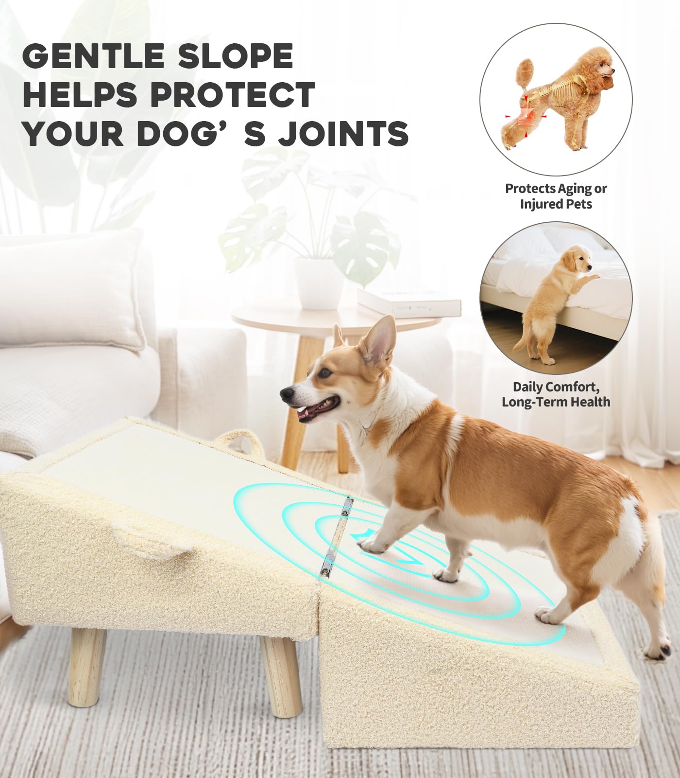 Powerful Xishan 2-in-1 design for versatile pet ramp and stairs.