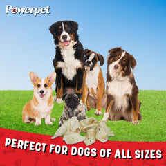 Powerpet Beef Ears long-lasting chews suitable for dogs of all sizes