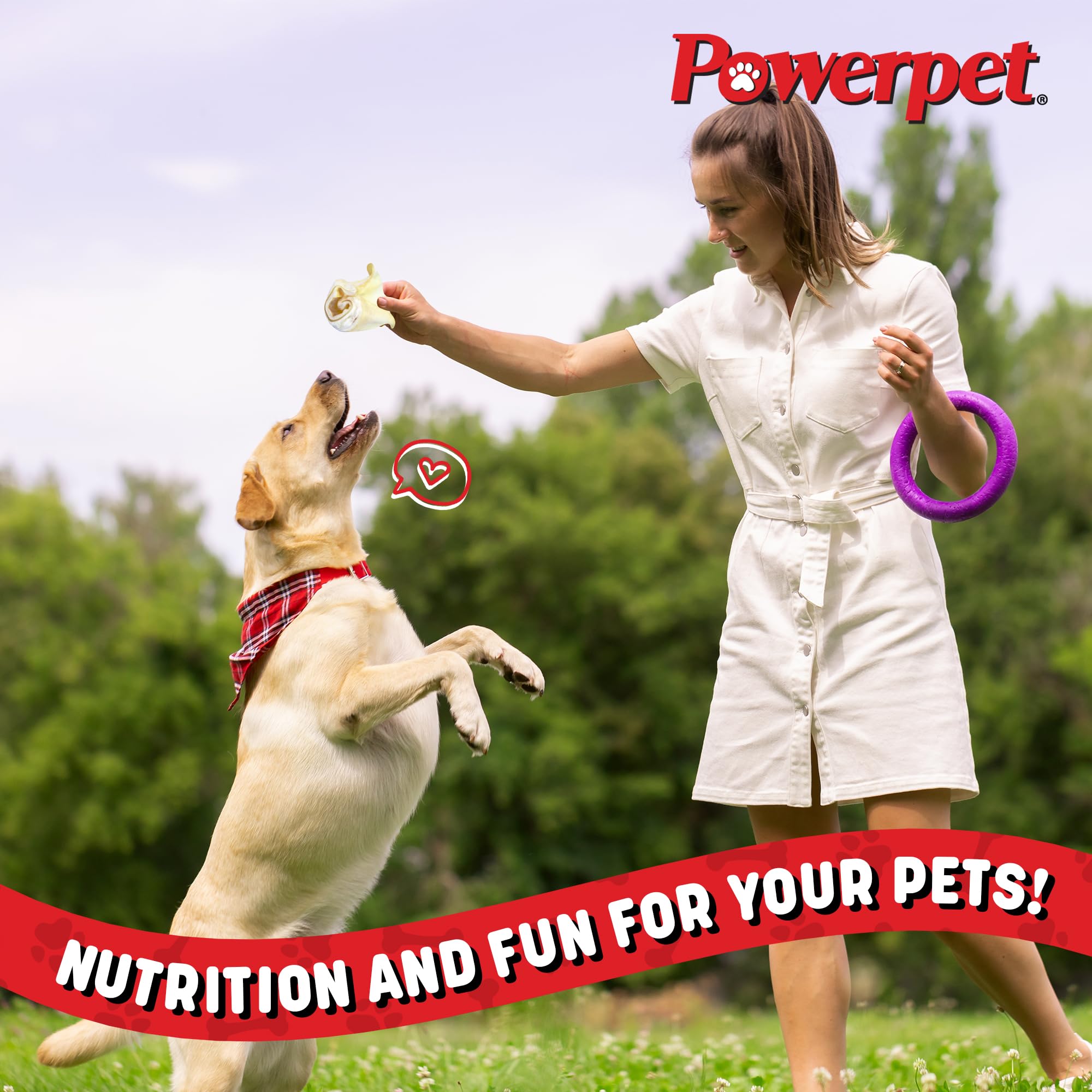 Powerpet Beef Ears natural cow flavor appealing to dogs during snack time