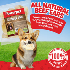 Powerpet Beef Ears pack of 25 for dogs, offering long-lasting chewing fun