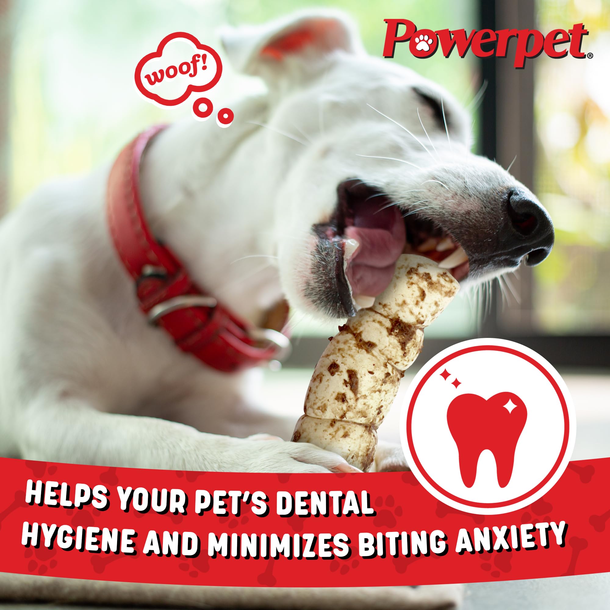 Powerpet Treats Bully Beef Cheek Rolls dog chewing in action for a satisfying chew