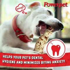 Powerpet Treats Bully Beef Cheek Rolls dog chewing in action for a satisfying chew