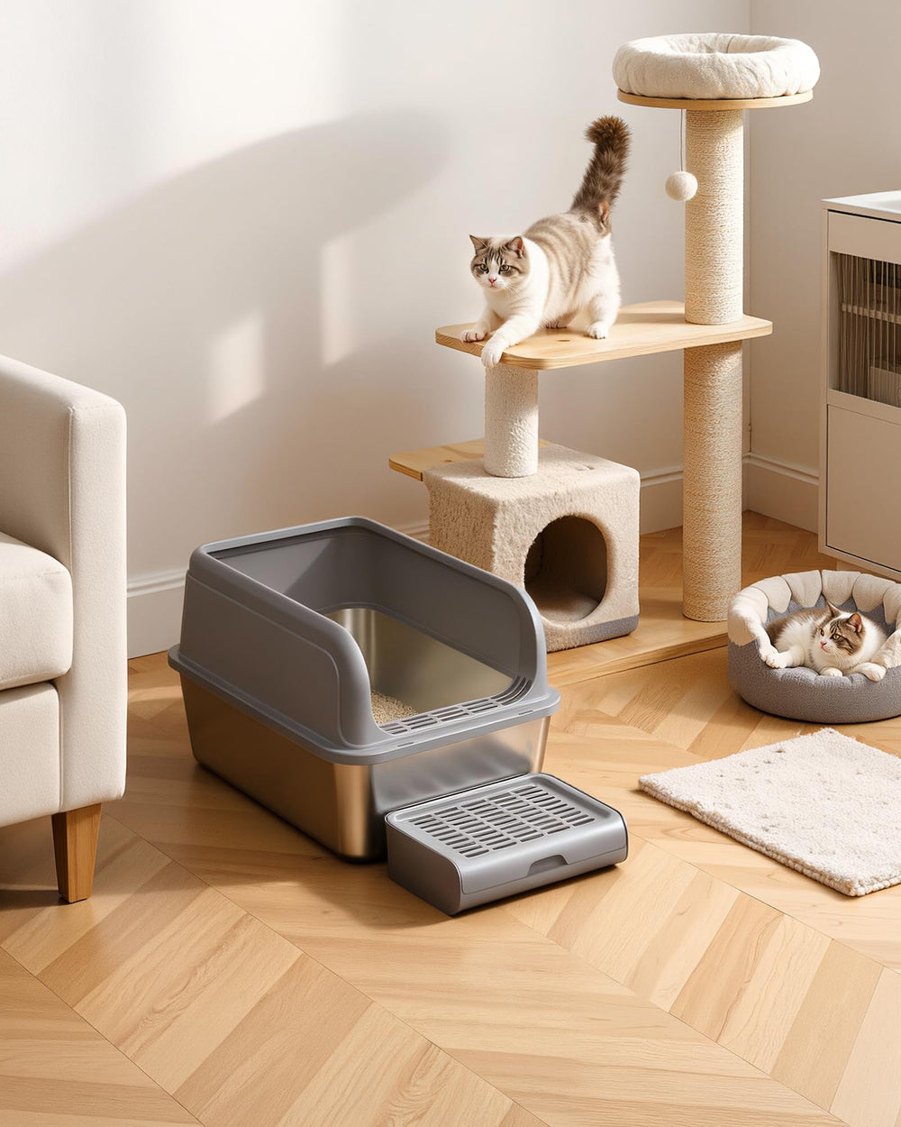 Powools easy setup enables tool-free placement in living rooms or balconies.