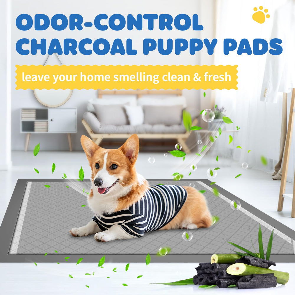Powools charcoal black pack blends with home decor while signaling a clean training space.