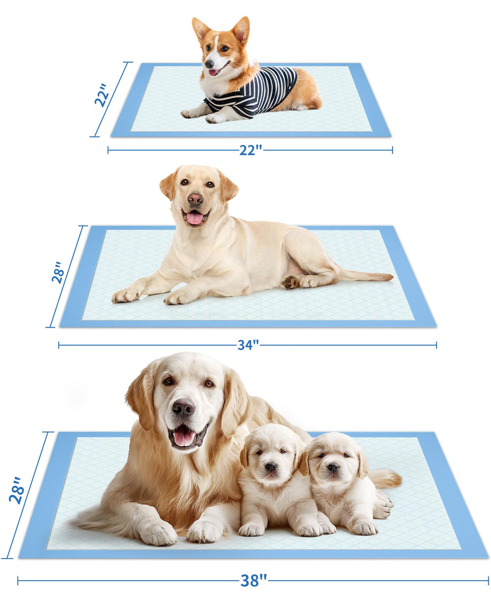 Powools puppy pad designed for travel and indoor use, simplifying potty routines.
