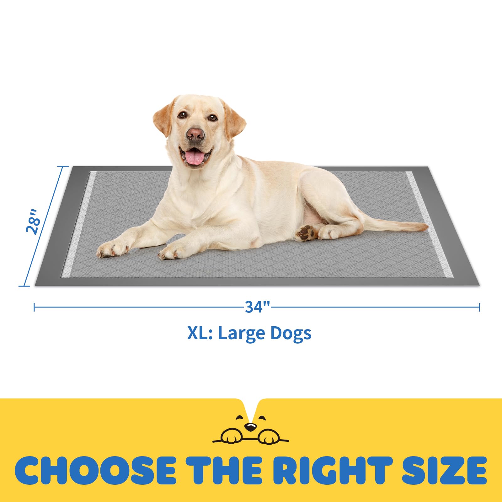 Powools puppy potty-training scene illustrating easier routines and fewer accidents.