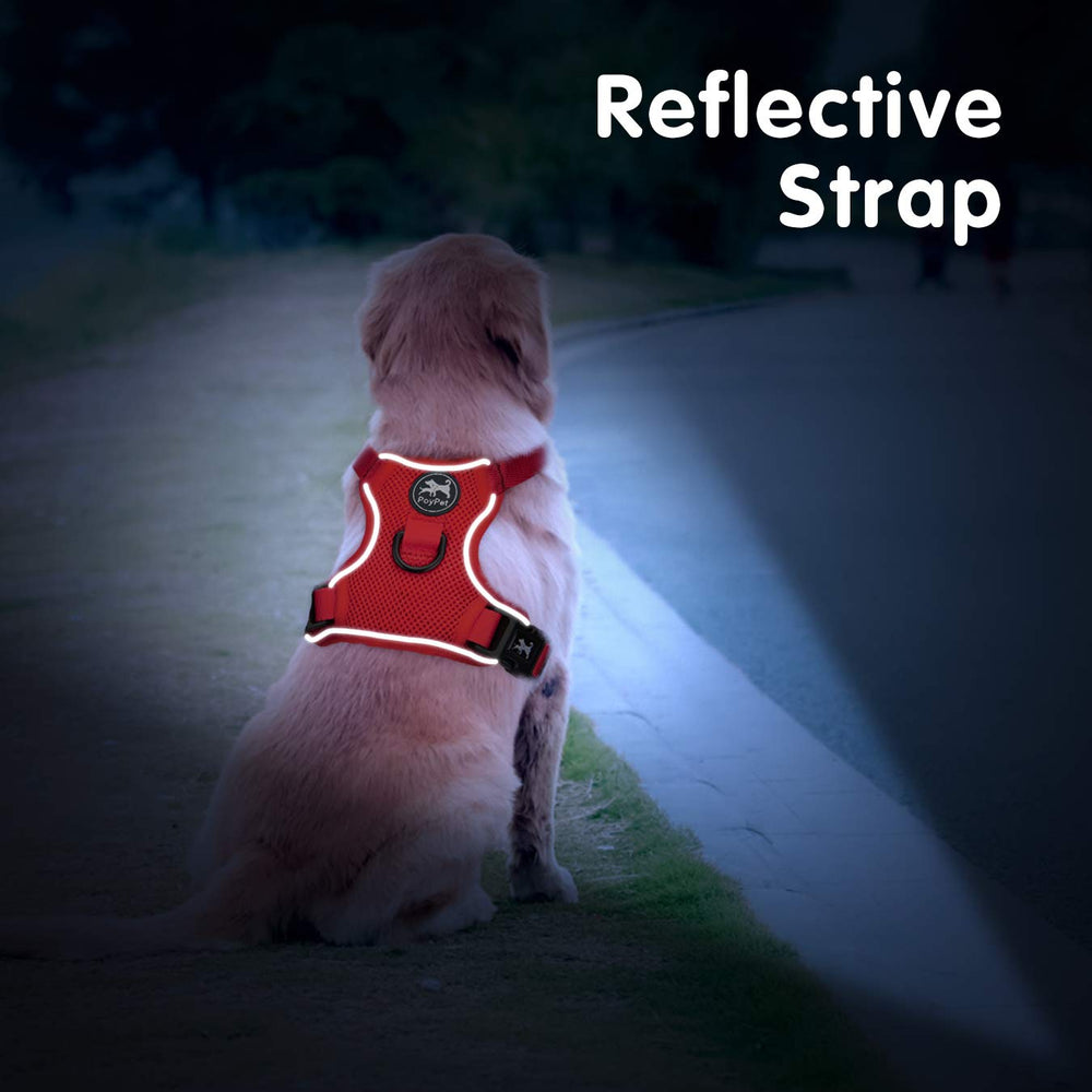PoyPet All-weather mesh dog harness red supports year-round walks and training.