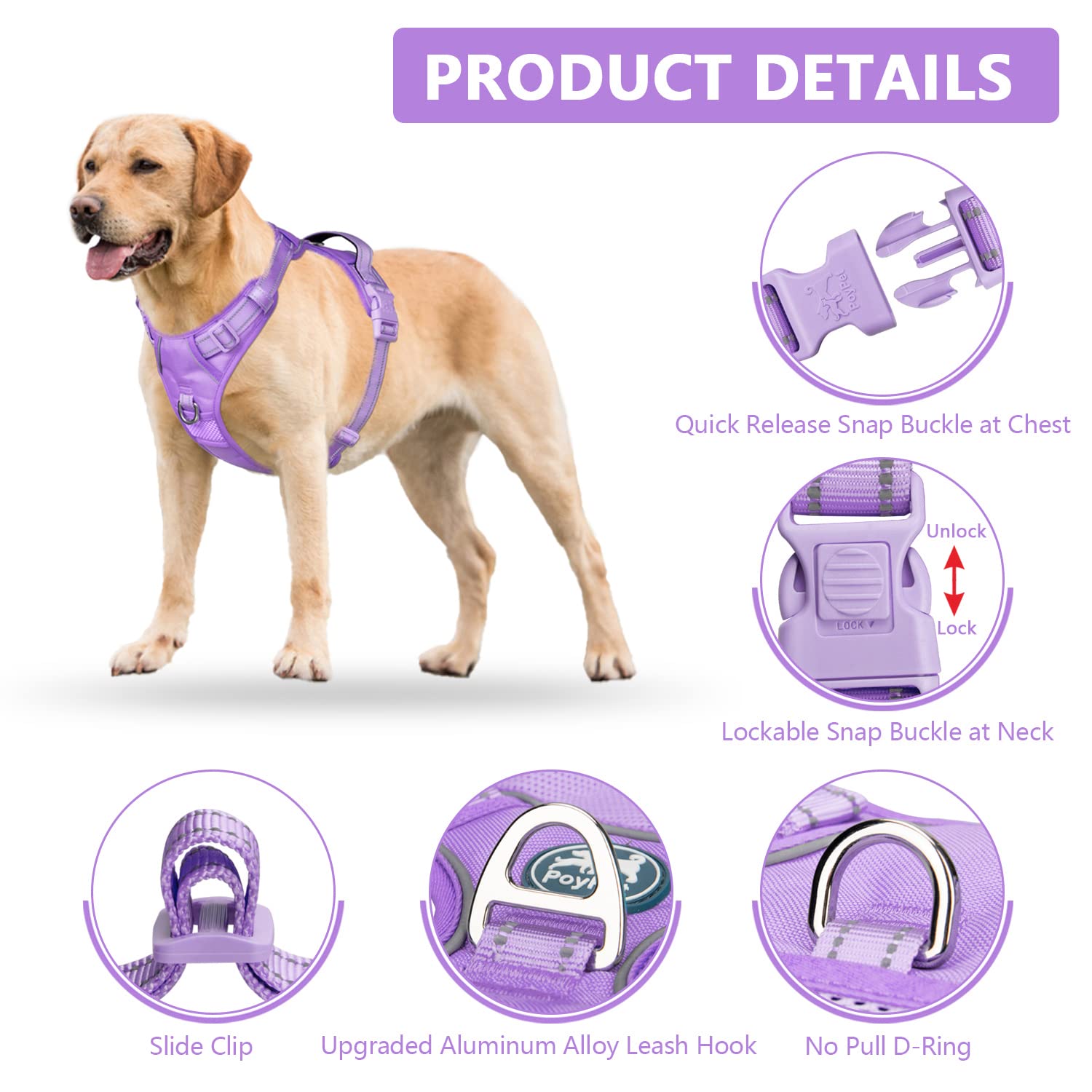 Arnés PoyPet correas ajustables para un ajuste personalizado.