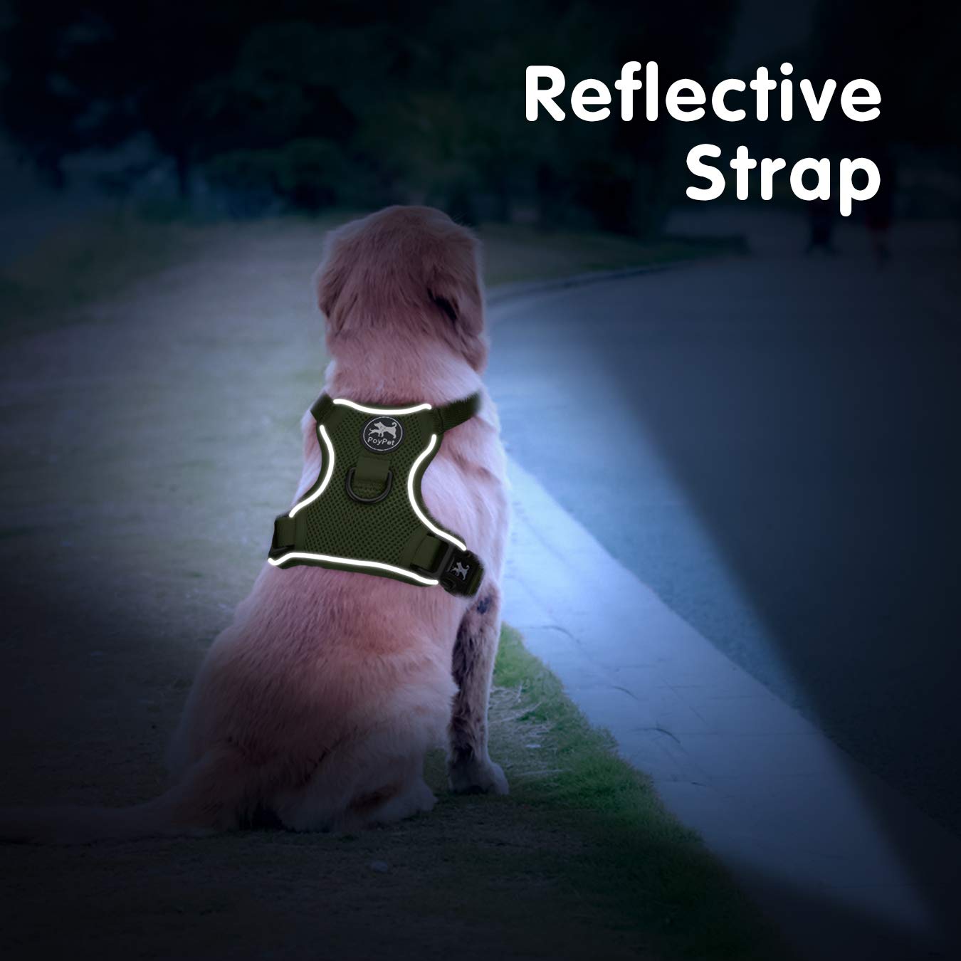 Arnés PoyPet de malla transpirable con visibilidad nocturna para perros activos.