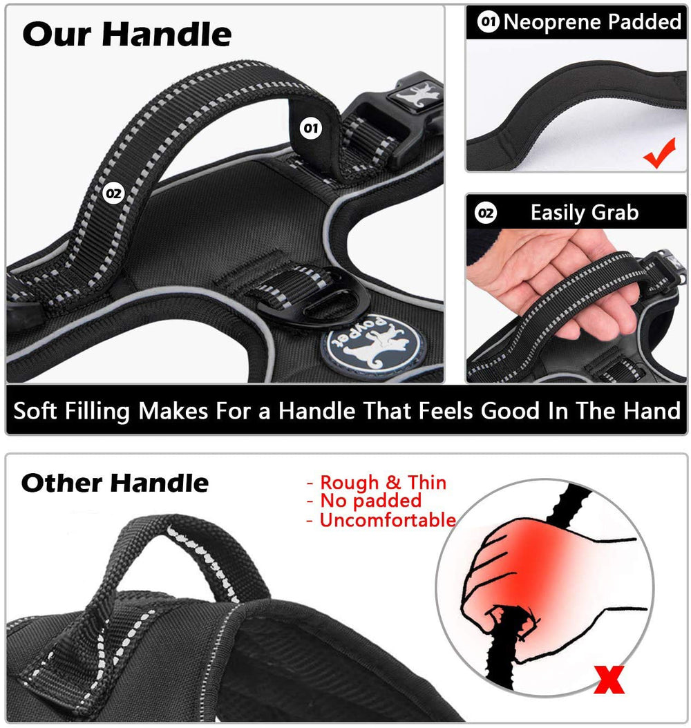 PoyPet harness back clip highlights secure leash attachment for steady control