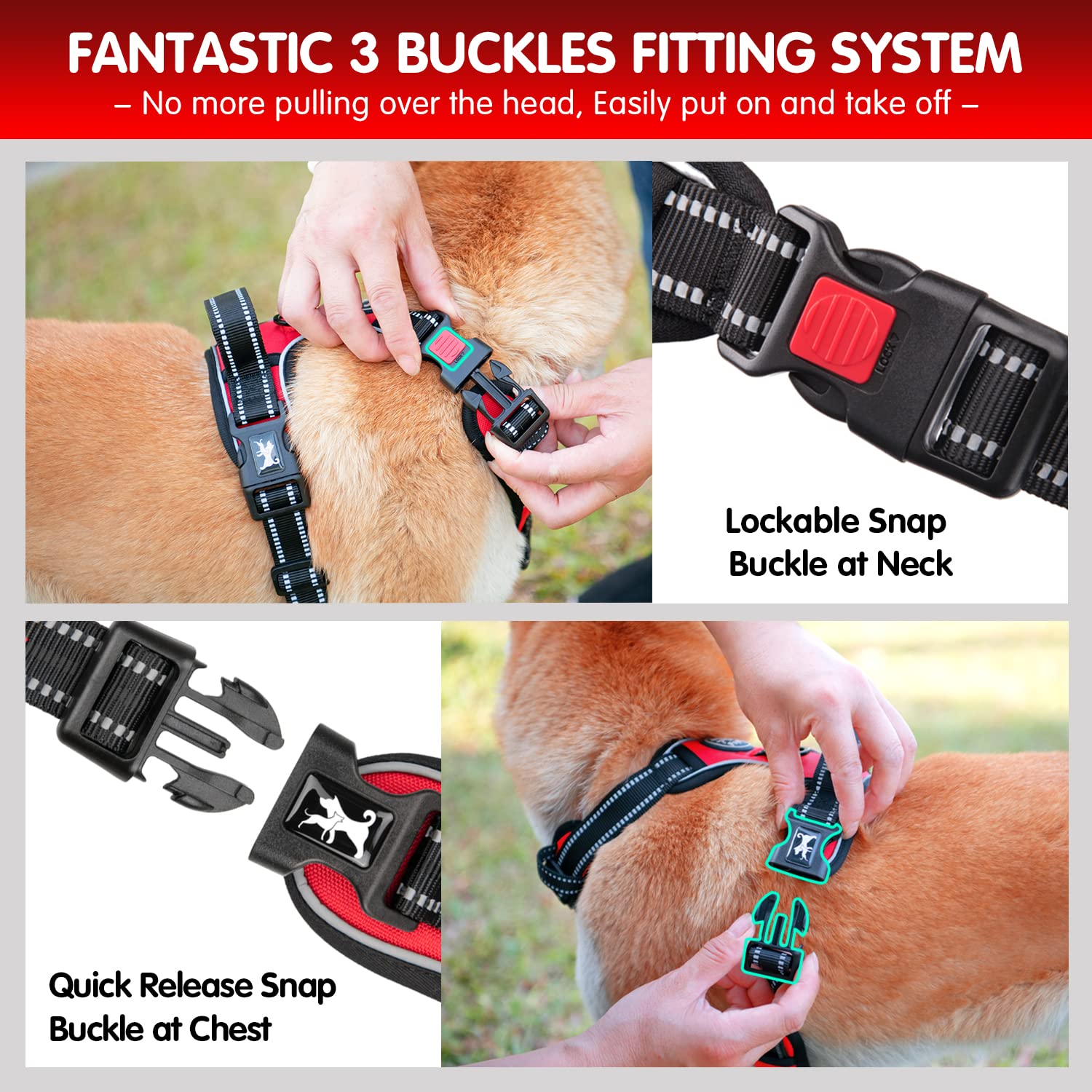 PoyPet harness back view red highlighting reflective stitching for safety