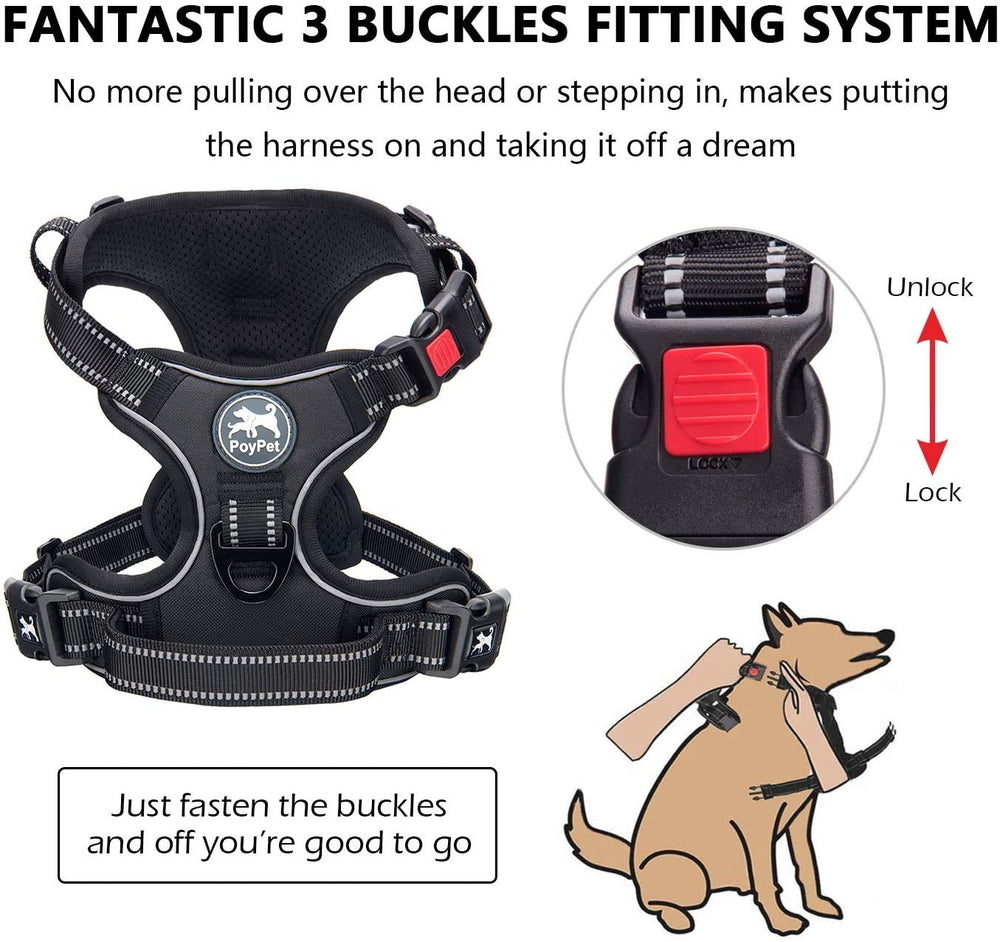 PoyPet harness side adjustment demonstrates adjustable fit for many dog sizes