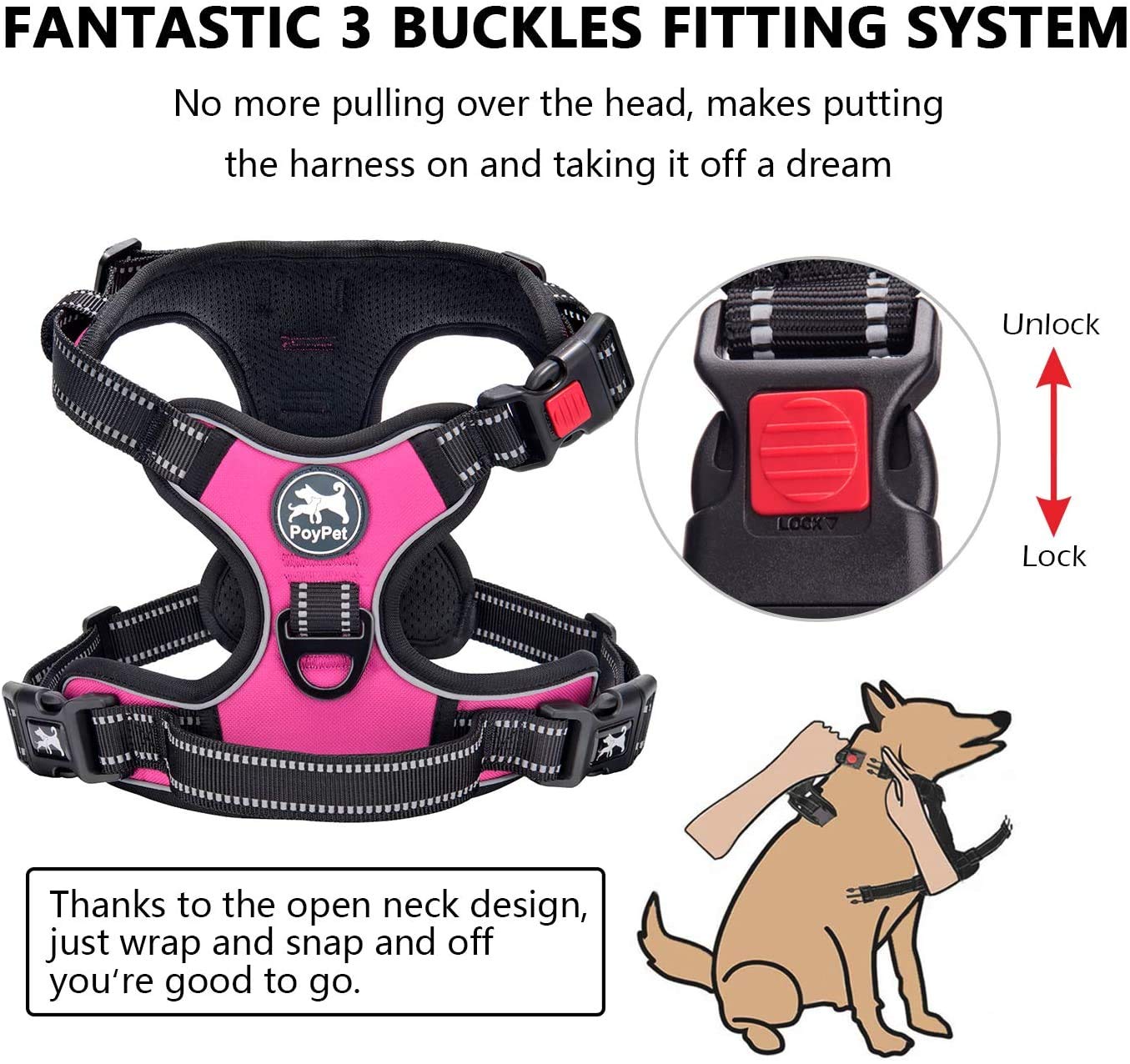 PoyPet 5ft leash with 360 rotating clasp reduces tangles during walks