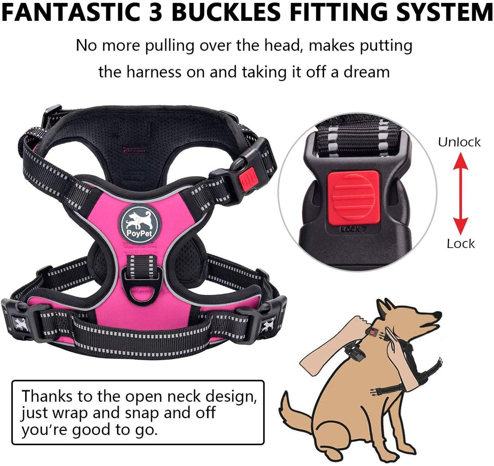PoyPet 5ft leash with 360 rotating clasp reduces tangles during walks