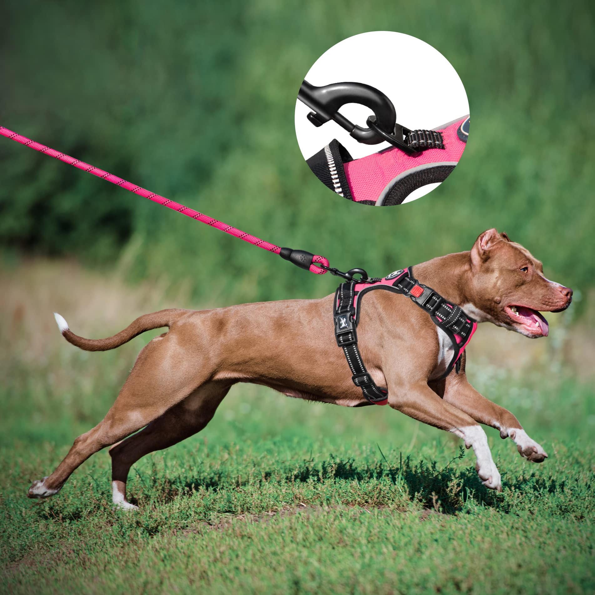 PoyPet escape proof adjustable chest strap ensures secure fit across dogs