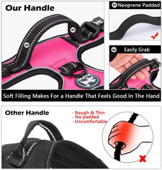 PoyPet harness shows reflective stitching for safer night walks