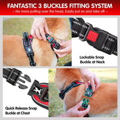 PoyPet 5ft leash demonstrates balanced control during walks.