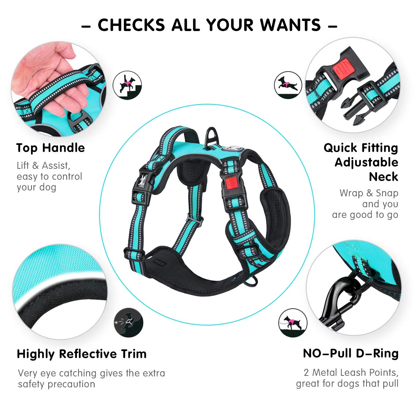 PoyPet harness reflective stitching enhances night visibility