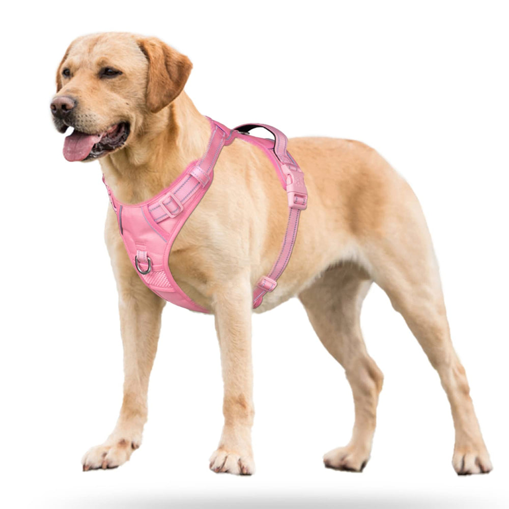 PoyPet No Pull Harness four adjustable straps for a secure fit.