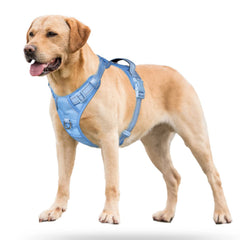 PoyPet No-Pull Harness back D-ring ideal for casual walks and jogging.