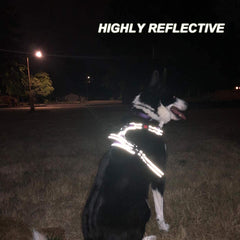 PoyPet No Pull Harness reflective accents improve night visibility