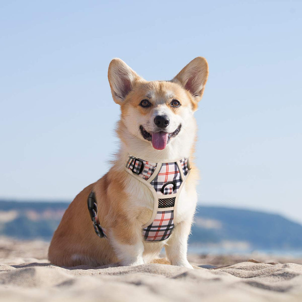 PoyPet plaid dog harness soft padding interior for comfortable daily wear.