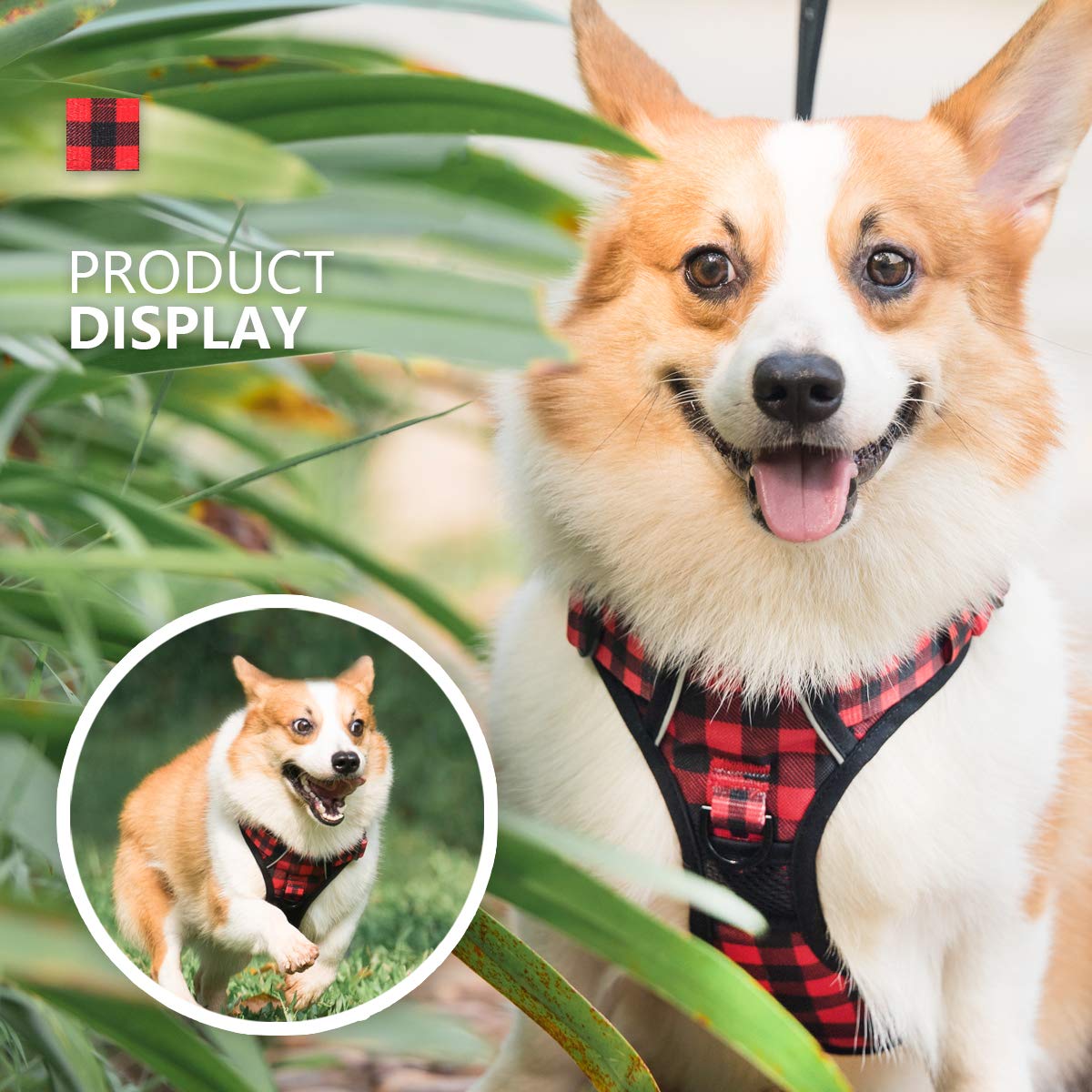 PoyPet training handle back helps keep dogs close during car loading