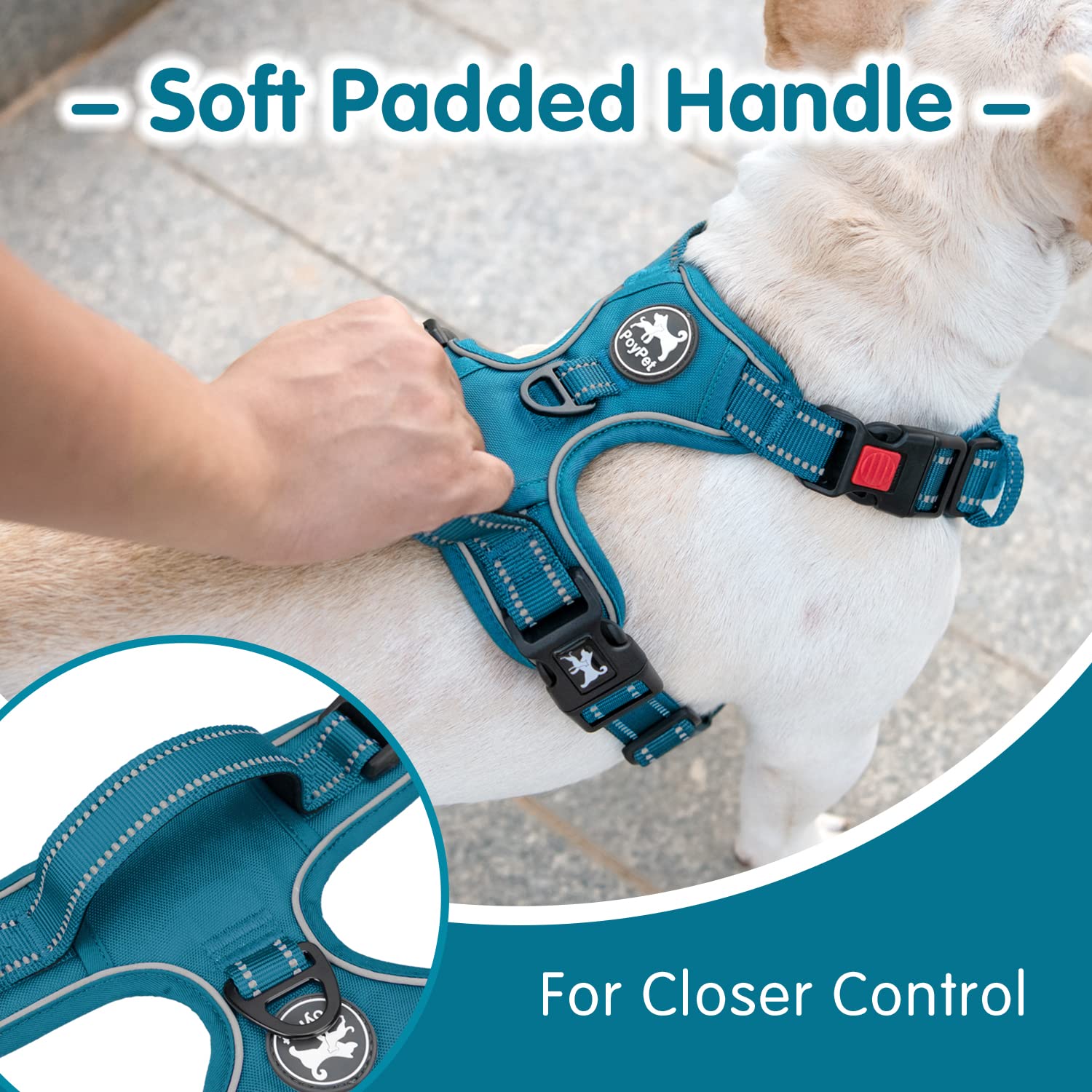 PoyPet Tumalo Teal harness adjustable straps ensure secure comfortable fit.