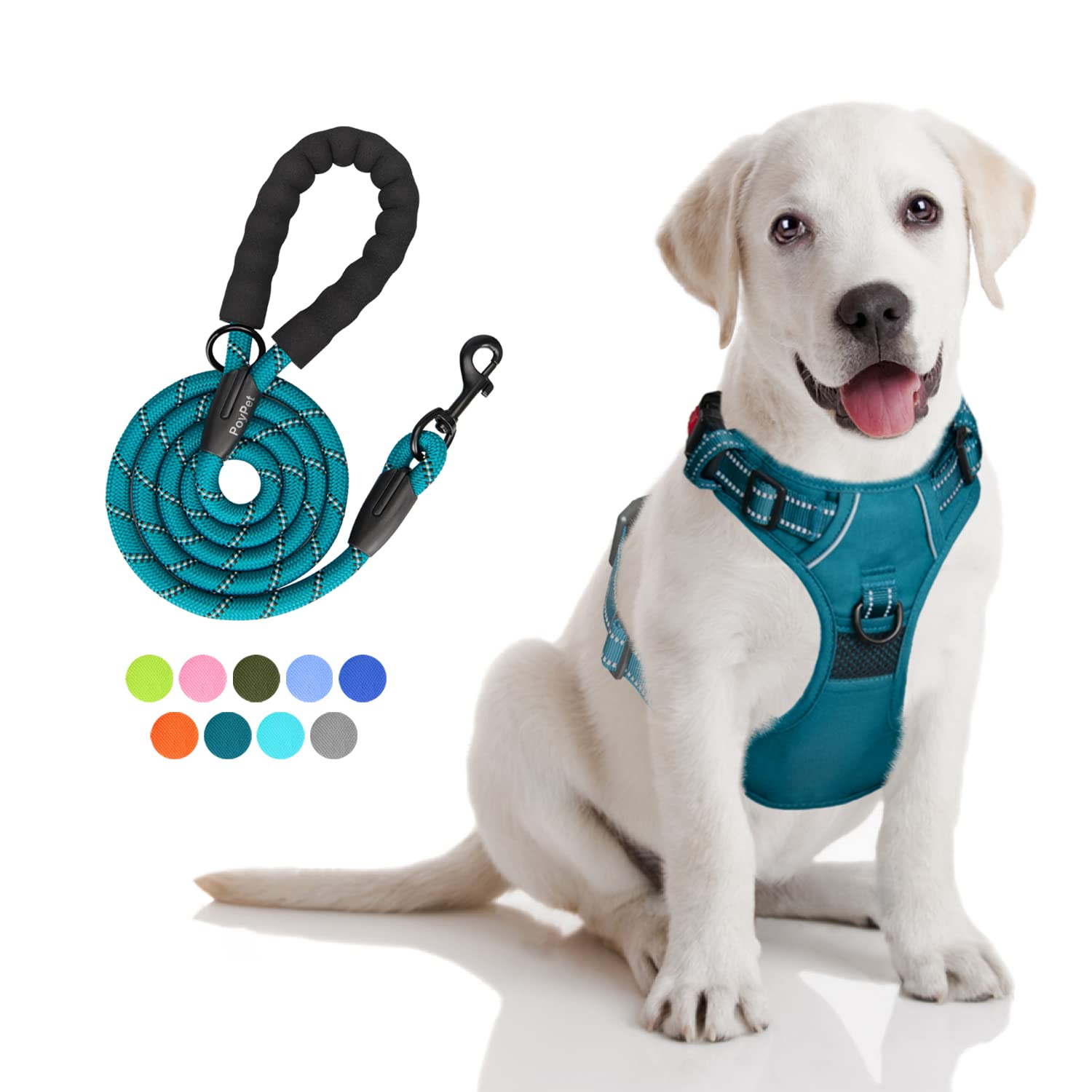 PoyPet Tumalo Teal harness front D-ring for no-pull control during walks.
