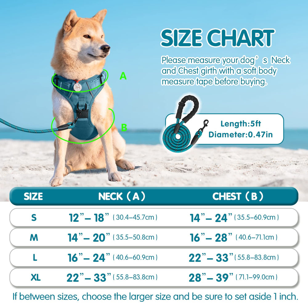 PoyPet Tumalo Teal harness reflective strip boosts night visibility.