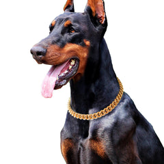 PP COLOR gold chain dog collar 15mm close-up shows lightweight coating for comfortable wear.