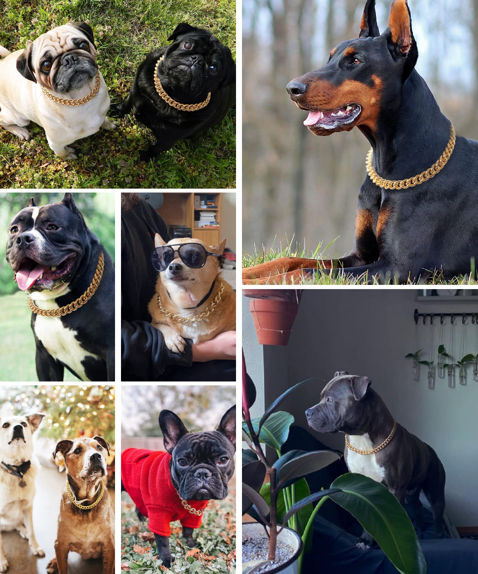 PP COLOR gold chain dog collar hip-hop style add bold personality to your pup.