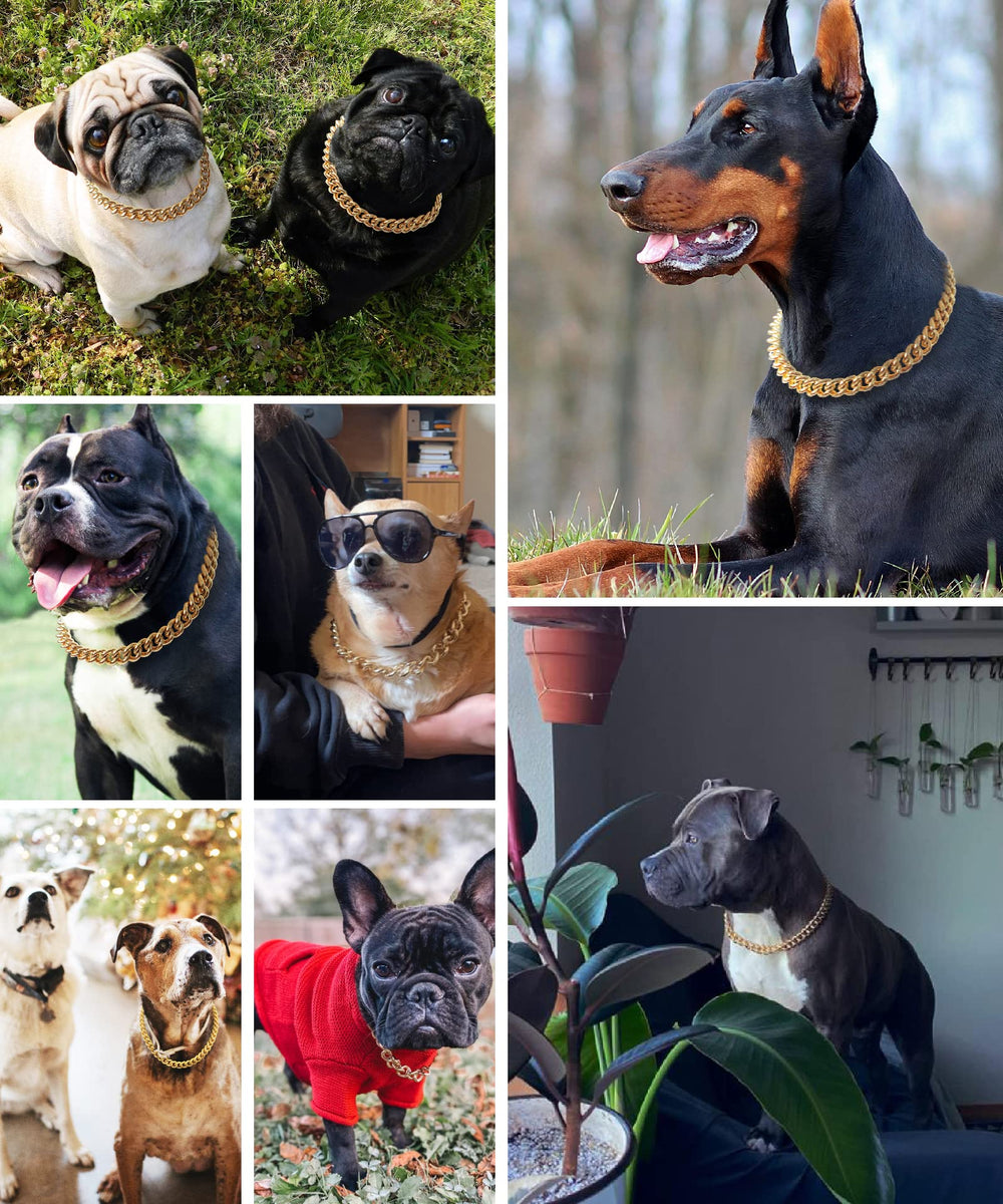 PP COLOR gold chain dog collar hip-hop style add bold personality to your pup.