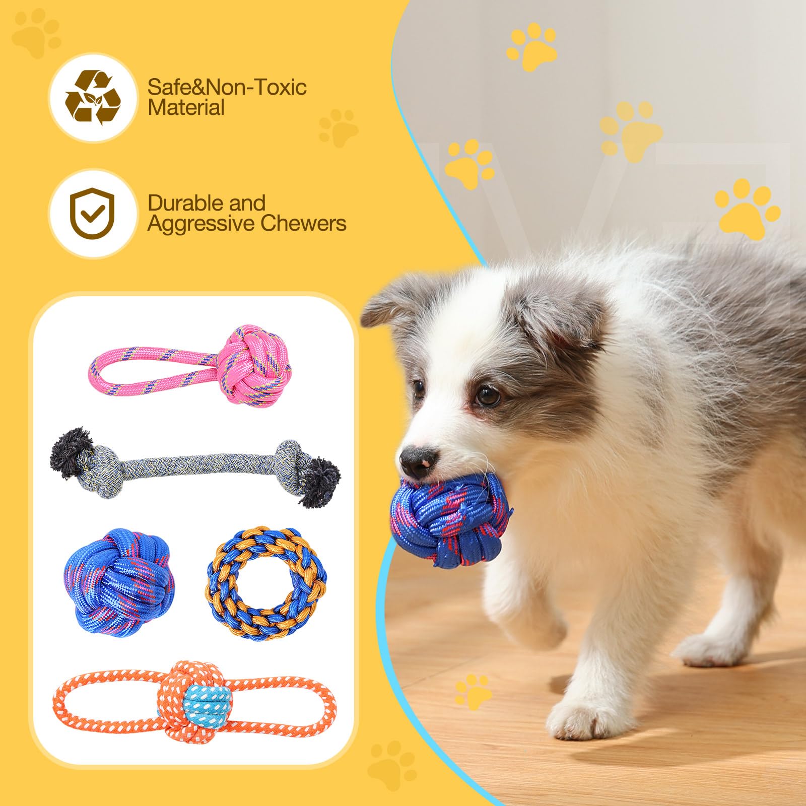 PPTAIO interactive dog toys for versatile indoor and outdoor activities