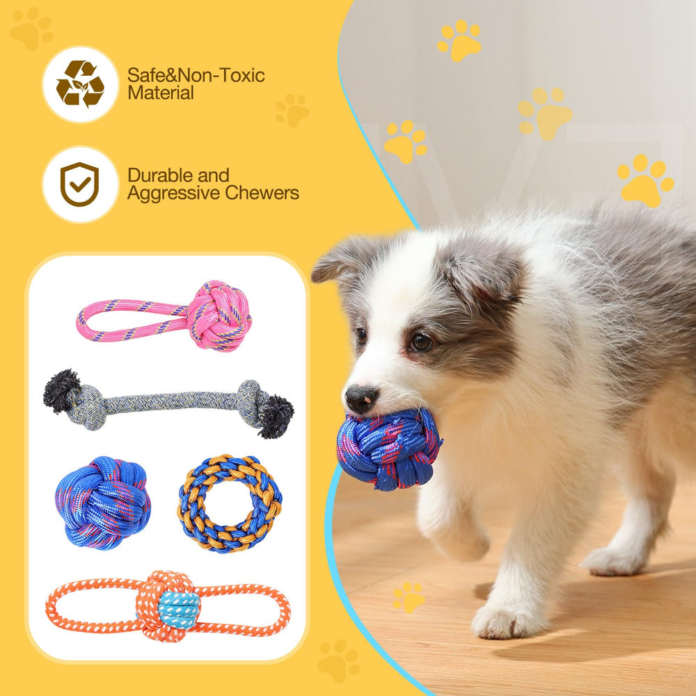 PPTAIO interactive dog toys for versatile indoor and outdoor activities