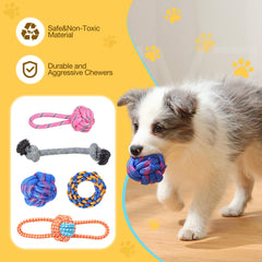 PPTAIO interactive dog toys for versatile indoor and outdoor activities