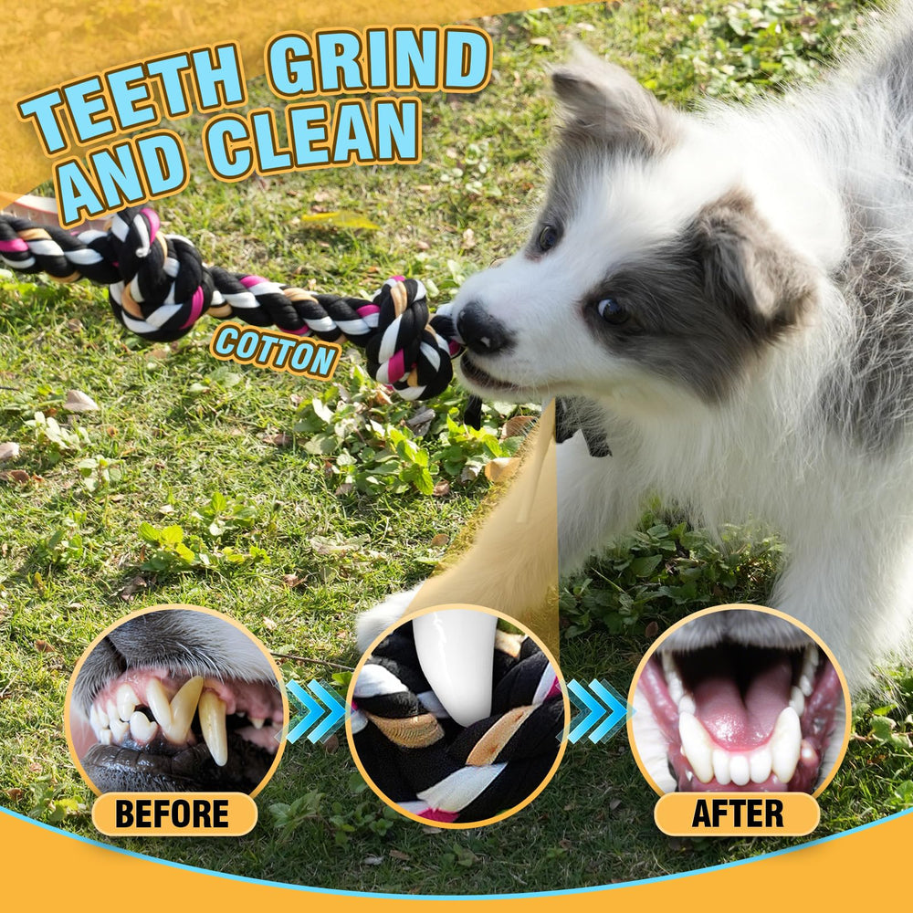 PPTAIO squeaky toy closeup highlighting engaging sound for interactive play