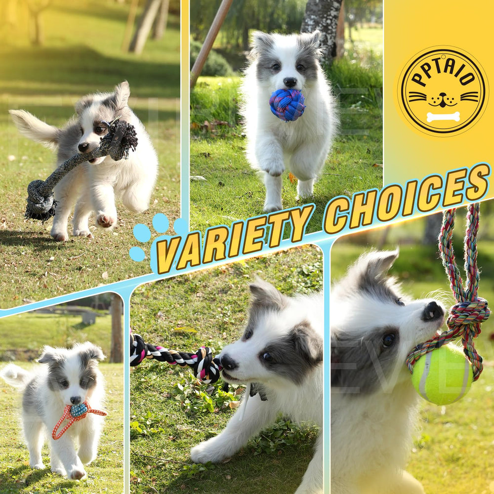 PPTAIO dog toy set shown outdoors with pets encouraging active play