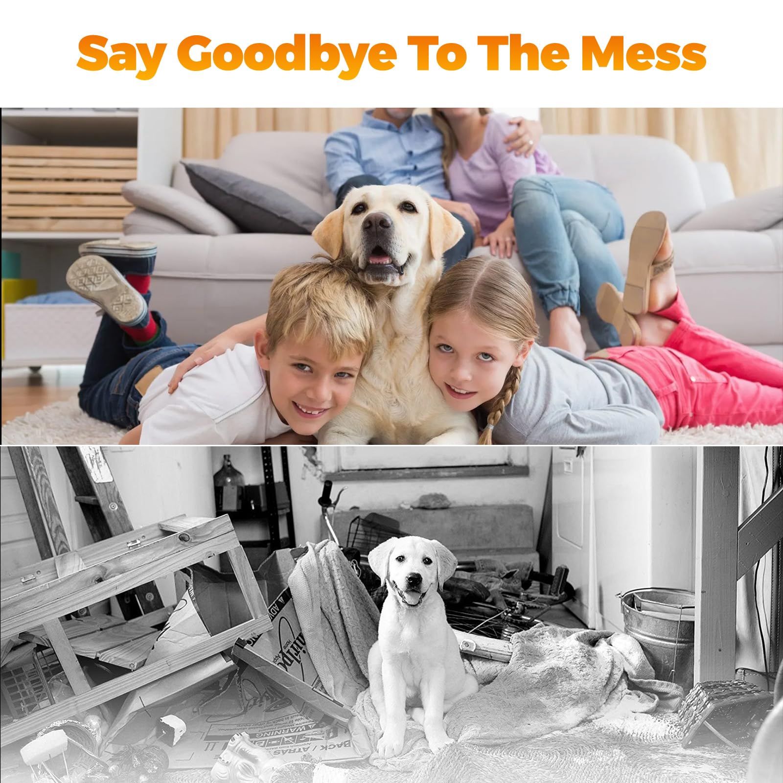 Pragmatist Outdoor Flirt Pole cord length highlights reach for sprint and chase games.